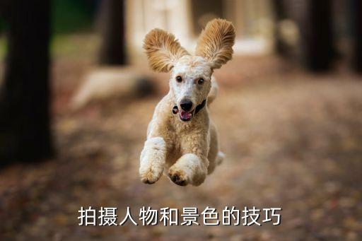 人和樹拍照姿勢，拍攝人物和景色的技巧...